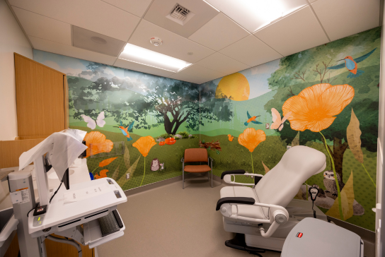Folsom Medical Care Clinic patient room