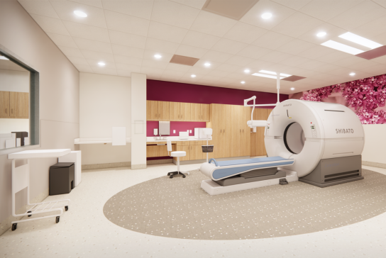 Rendering of radiology PET scan