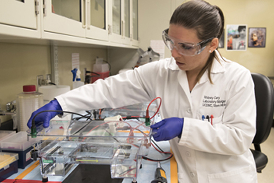 A lab researcher in a white coat and safety glasses runs a gel electrophoresis experiment.