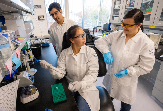 Two researchers in protective gear work with lab equipment and samples.