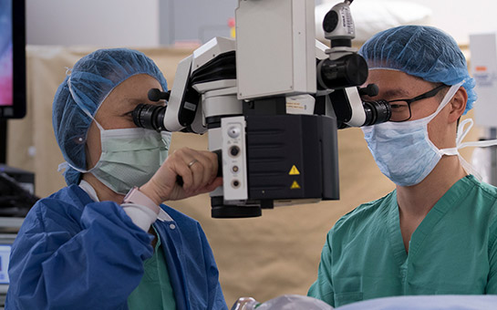 Ophthalmology specialists at work