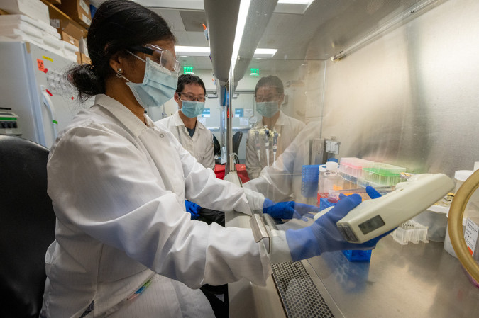 researchers working