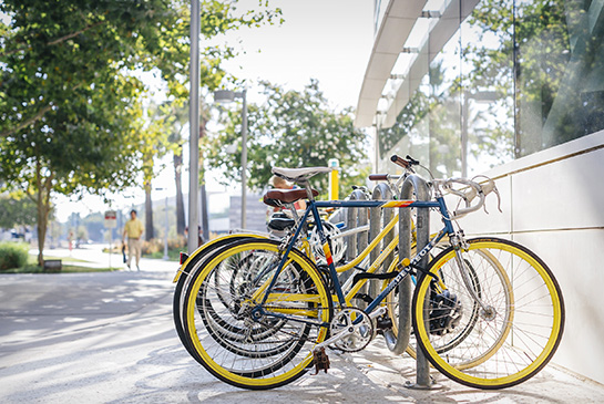 Close-up of bikes on Sacramento campus