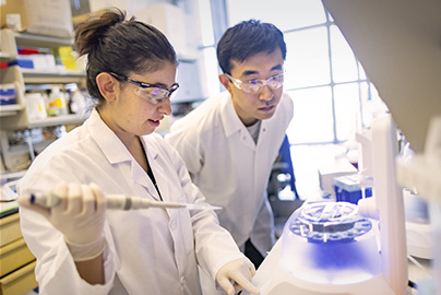 Two young researchers in stem cell lab at UC Davis Institute for Regenerative Cures