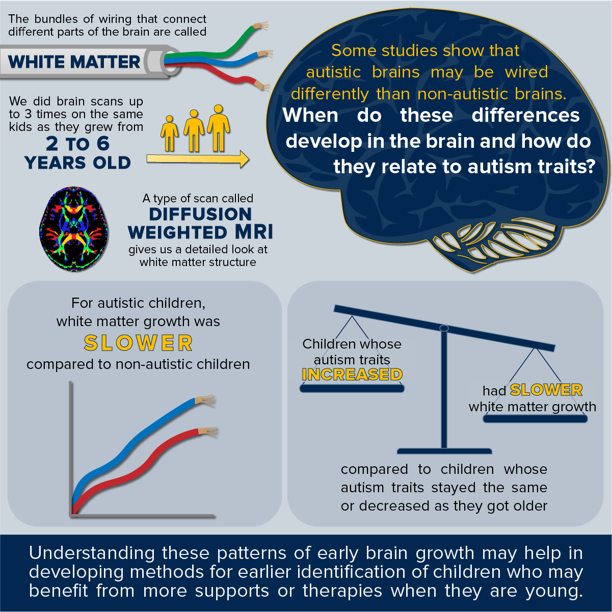 Alterations in brain wirig infographic