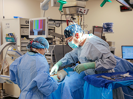 Surgeons working.