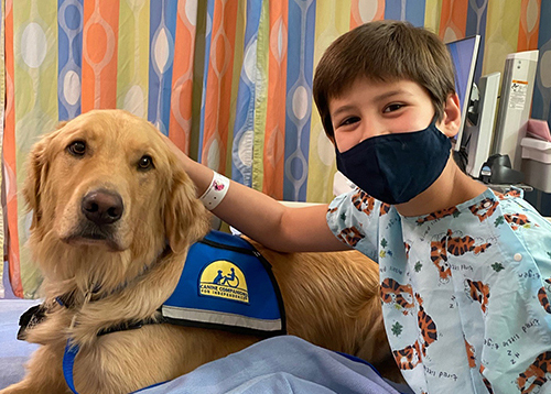 Boy petting a therapy dog at UC Davis Children's Hospital