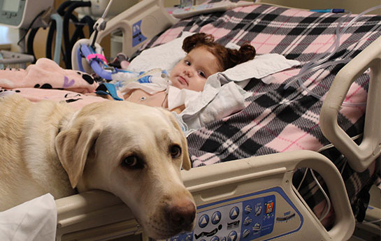 Genomic Medicine patient Alaina in bed with Canine Companion.