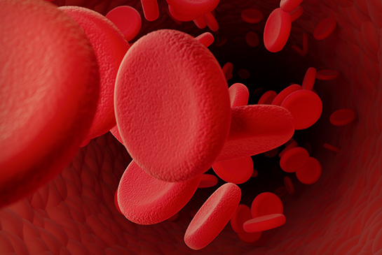 Blood platelets illustration, stock image