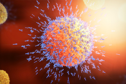 Antibodies, 3D illustration of immune response