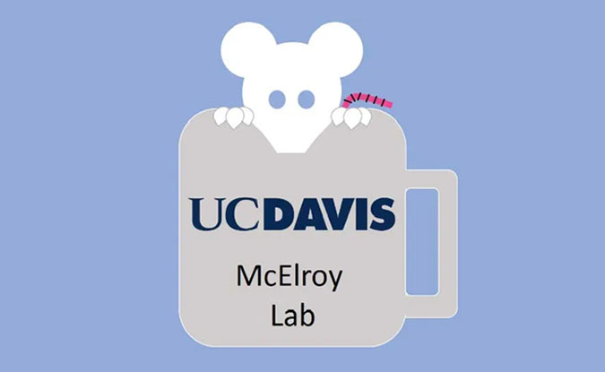 McElroy Lab graphic