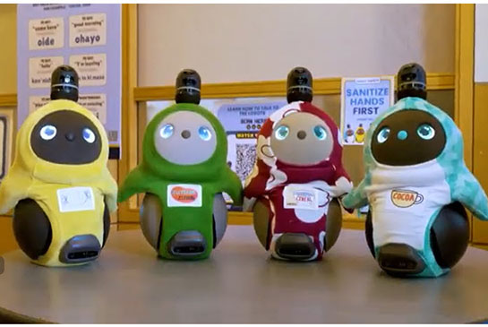 Four Lovots, 2 foot tall, furry, colored social robots for kids