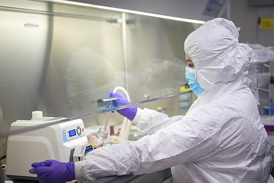 UC Davis researcher working in stem cell lab