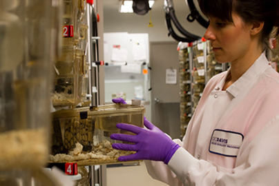 At the heart of the Mouse Biology Program are research and education.