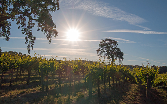 ‘Fall Gathering at the Ranch’  benefits cancer center research