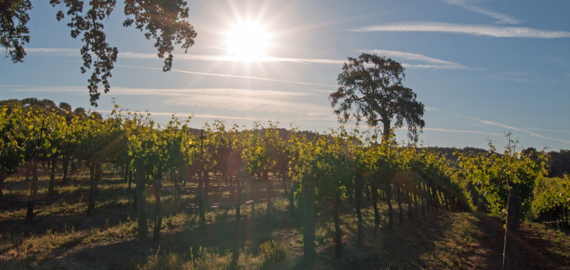 ‘Fall Gathering at the Ranch’  benefits cancer center research