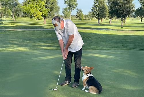 Thanks to a new UC Davis  bladder cancer treatment,  Gerald Hecox is back to  golfing and enjoying time  with the family corgis. 