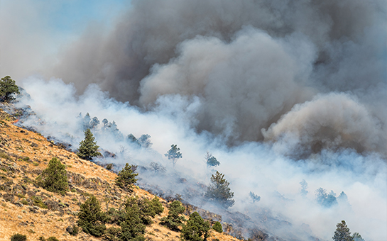 Wildfire pollution may lower survival chances for  lung cancer patients