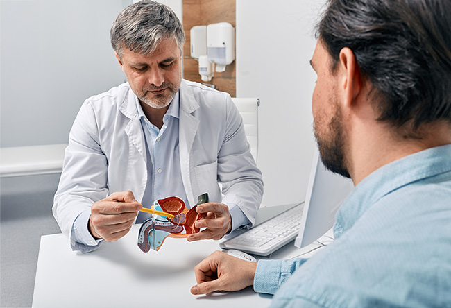 doctor showing internal organs
