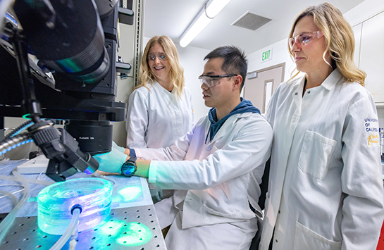 UC Davis researchers working in a lab