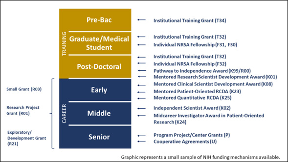 This chart shows the grant funding mechanisms available to researchers based on their career level, using a small sample of federal funding mechanisms.  The samples illustrate that, at the training level, T-, F- and some K-awards are available to researchers to the pre-baccalaureate, graduate, medical student and post-doctoral researcher. These are individual and institutional training grants, fellowships and development awards.  Career researchers are eligible for small grant, research project grant and exploratory development grants. For early career researchers, mentored awards in the K series are available. Middle career researchers have independent and mid-career awards available. Senior career researchers are eligible to apply for program project and program center grants, which are P series awards, and cooperative agreements, which are U series.  