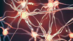 stock photo of neurons