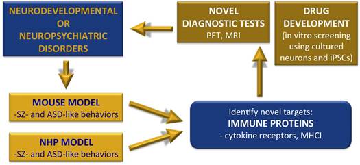 immune signaling