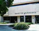 Center for Neuroscience