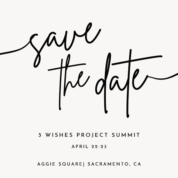 3 Wishes project Summit