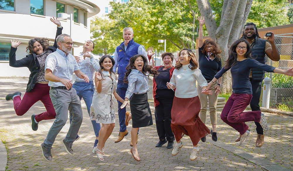 Adult Palliative Care TEAM