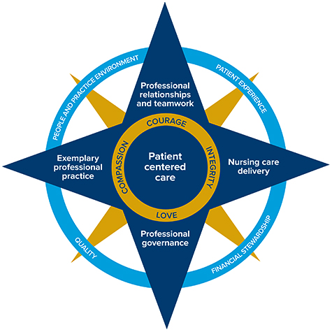 Professional Practice Model Uc Davis Nursing