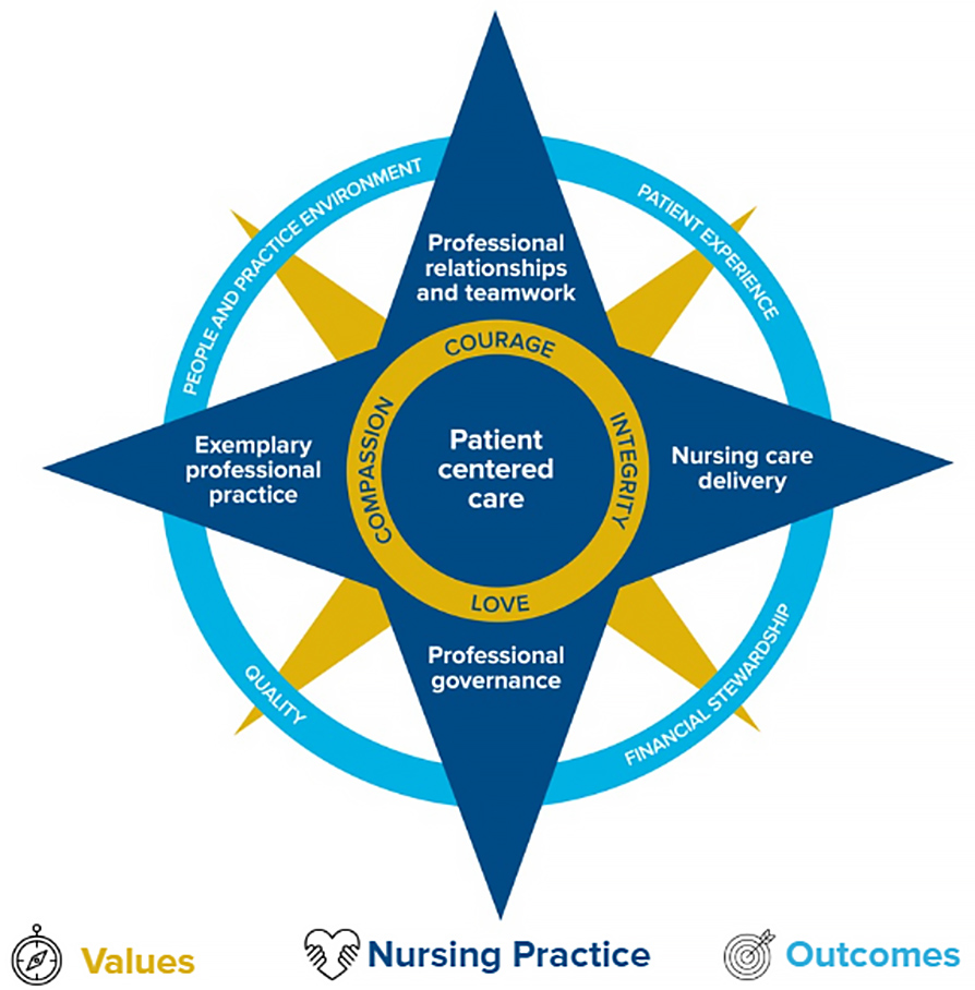 Professional Practice Model image