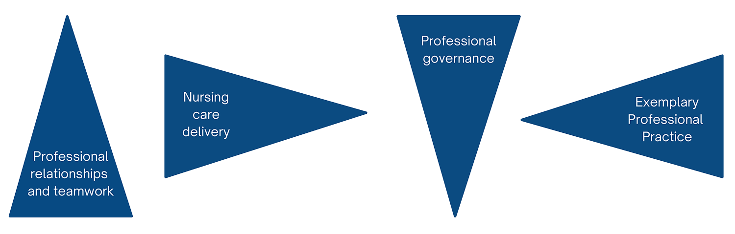 professional practice model values