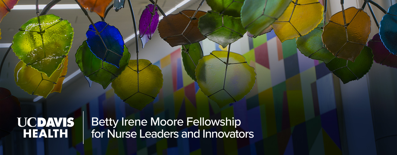 Developing the next generation of nurse leaders and innovators