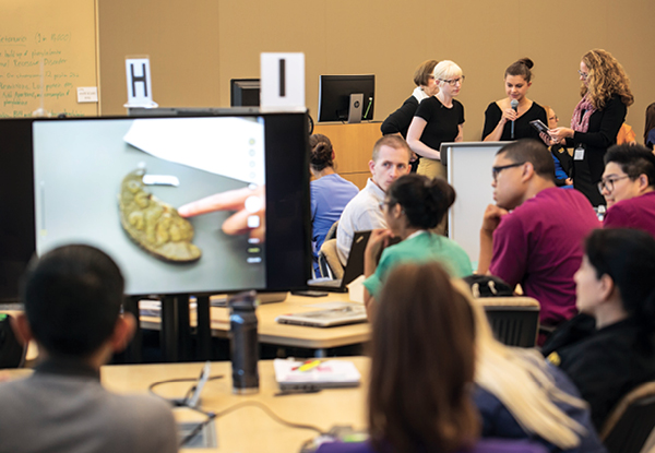The high-tech classrooms in Betty Irene Moore Hall allow students and faculty to project video images from a tablet to group tables, so all participants can see close-up images of the preserved organs students present here as part of a gross pathology lab.