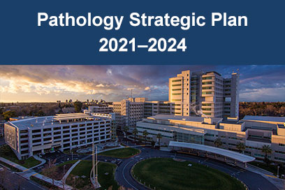 Pathology Strategic Plan 2021-2024
