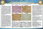 Gao Guofeng USCAP18 Poster