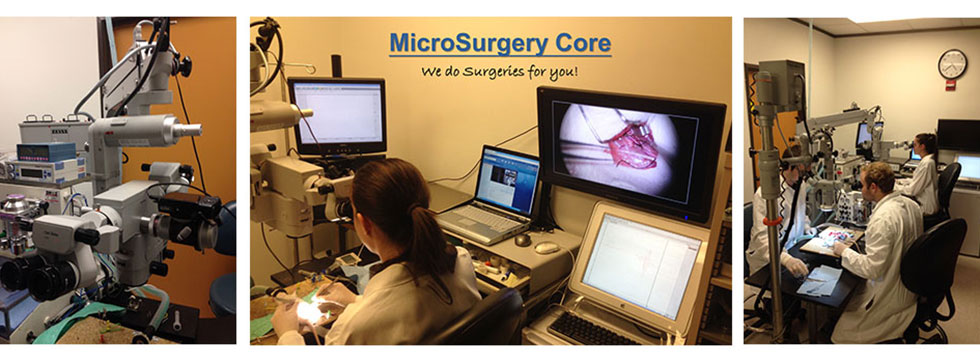 MicroSurgery Core