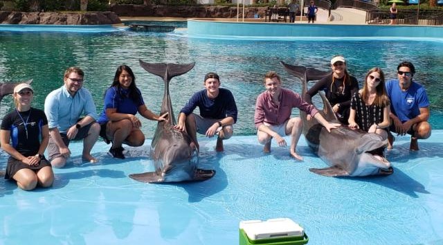 People gathered next to a pool with a dolphin