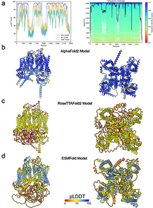 Structural modeling of ion channels