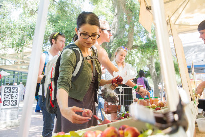 Woman shops for fruit at farmers market