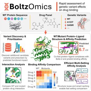 Rapid assessment of genetic variant effects on drug binding