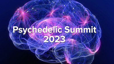 brain image with Psychedelic Summit 2023 words overlayed