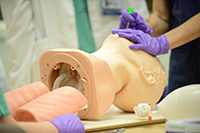 Medical simulation equipment (c) UC Davis Regents