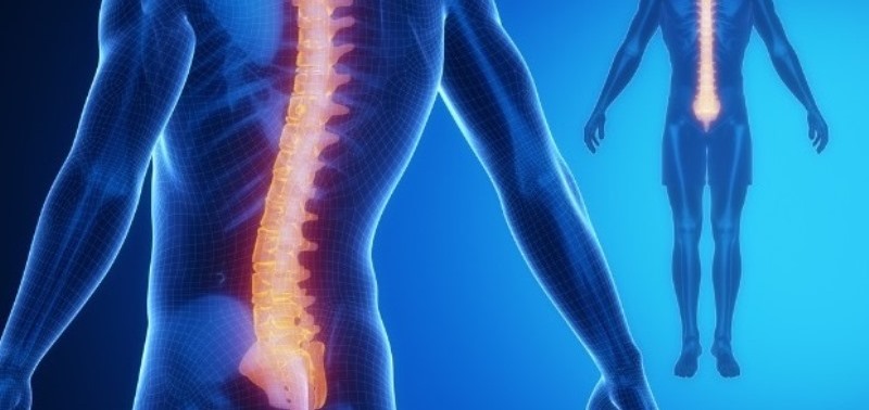 Neck and Back Pain - The Spine Clinics