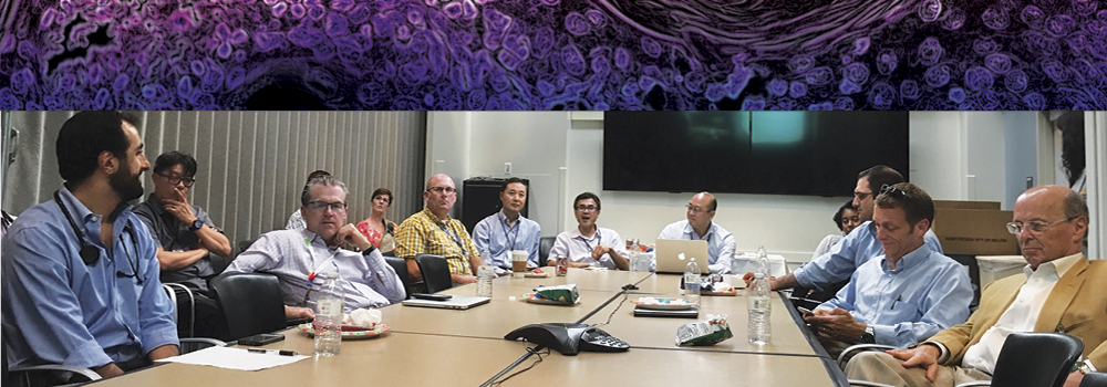 Molecular Tumor Board meeting
