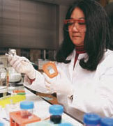 PHOTO — Research biochemist Suzanne Miyamoto works on a potential screening test for ovarian cancer.