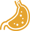 illustration of a stomach