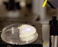 PHOTO — A fiberoptic probe induces fluorescence in a dish of collagen, and instantaneously collects the emitted light. Analysis of the re-emitted light provides important information about the biotechnical status of the tissue - including whether it is malignant. Collagen is the most ubiquitous fluorescent protein in tissues. Such probes can be integrated into biopsy probes, endoscopes and intravascular catheters.