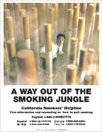PHOTO — Ads like these, produced by the California Department of Health Services, helped change attitudes statewide about smoking, across ethnic groups. The ad is available in English and several Asian languages.